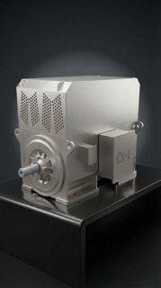 High Voltage Motors | OMVKS (IC81W)